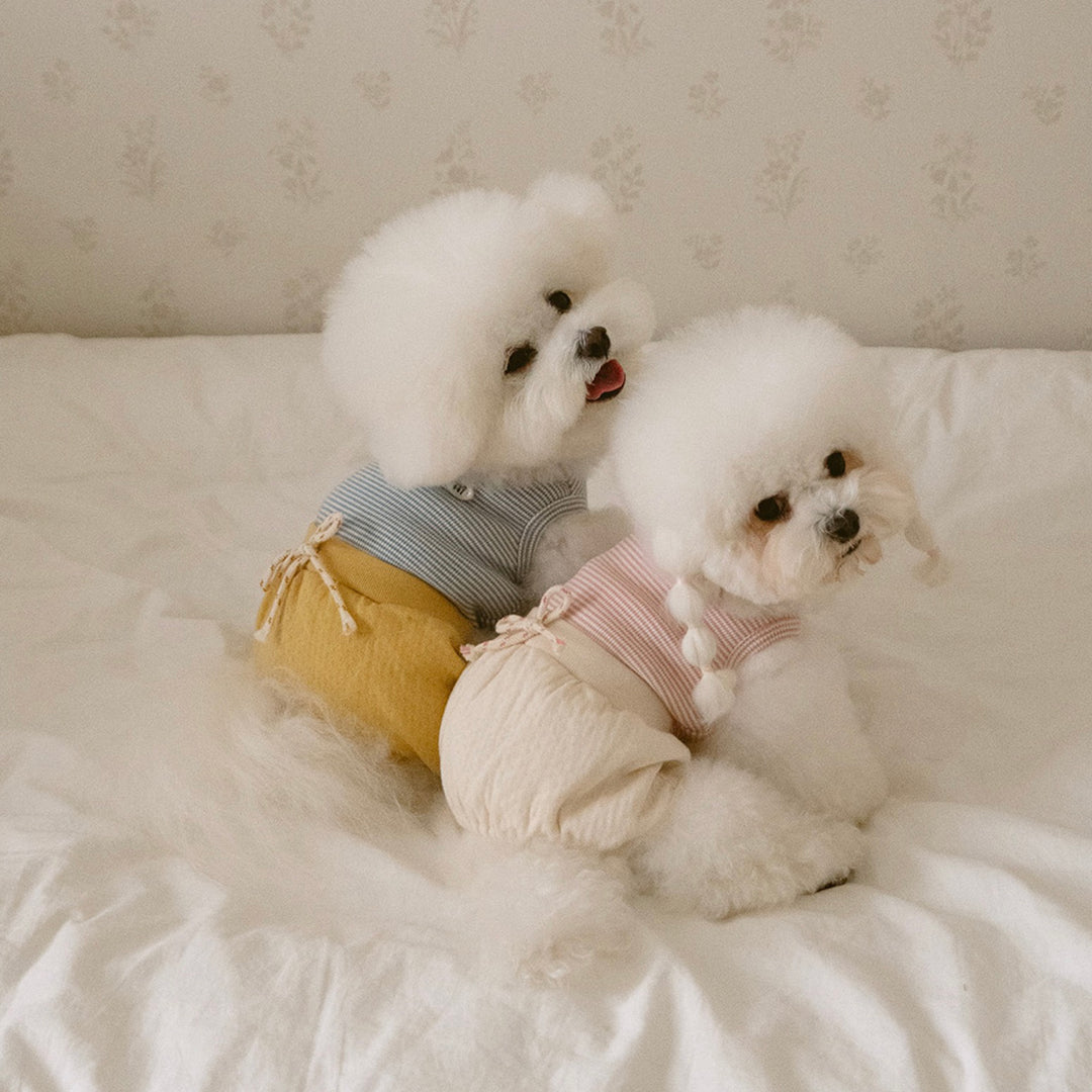 ※予約販売【noutti】Bebe All in one（Yellow）