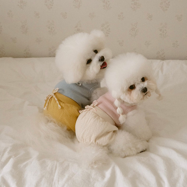 ※予約販売【noutti】Bebe All in one（Yellow）