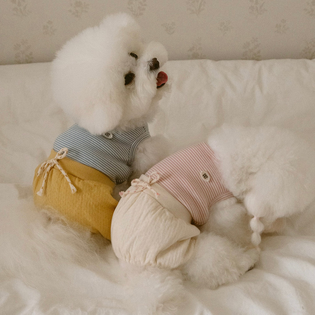 ※予約販売【noutti】Bebe All in one（Yellow）