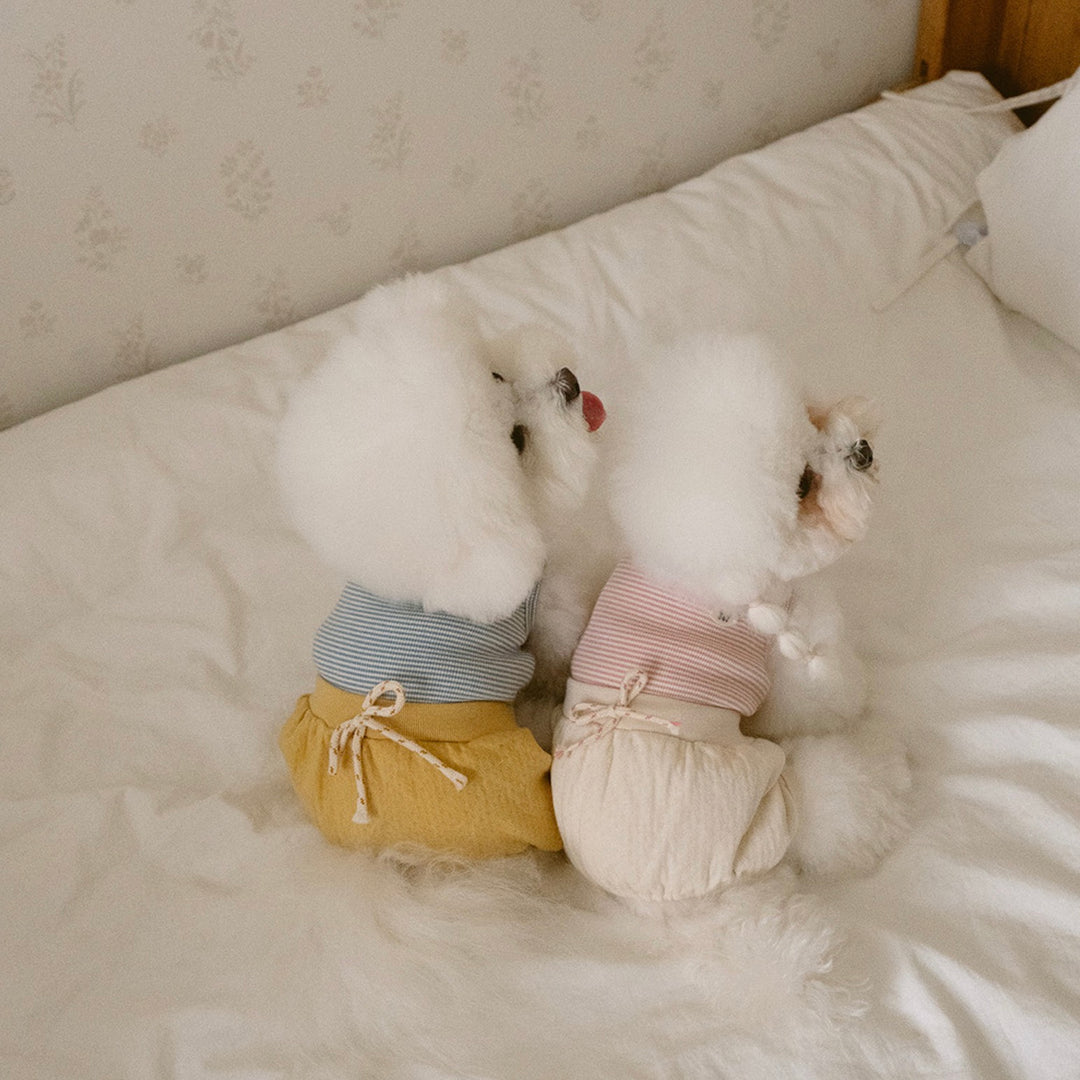 ※予約販売【noutti】Bebe All in one（Yellow）
