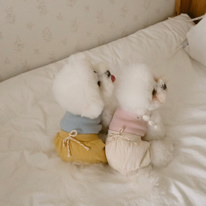 ※予約販売【noutti】Bebe All in one（Yellow）