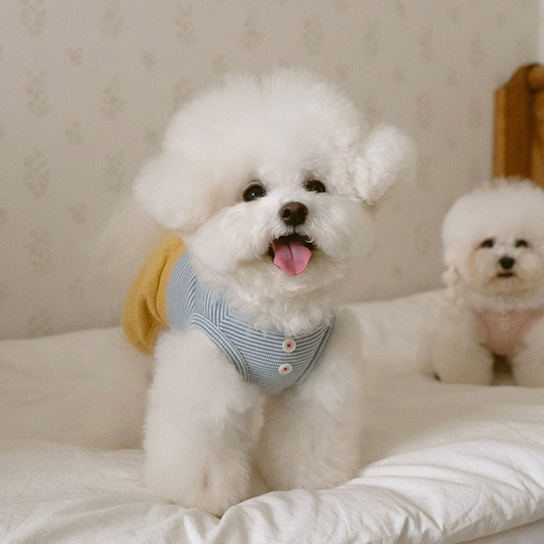 ※予約販売【noutti】Bebe All in one（Yellow）