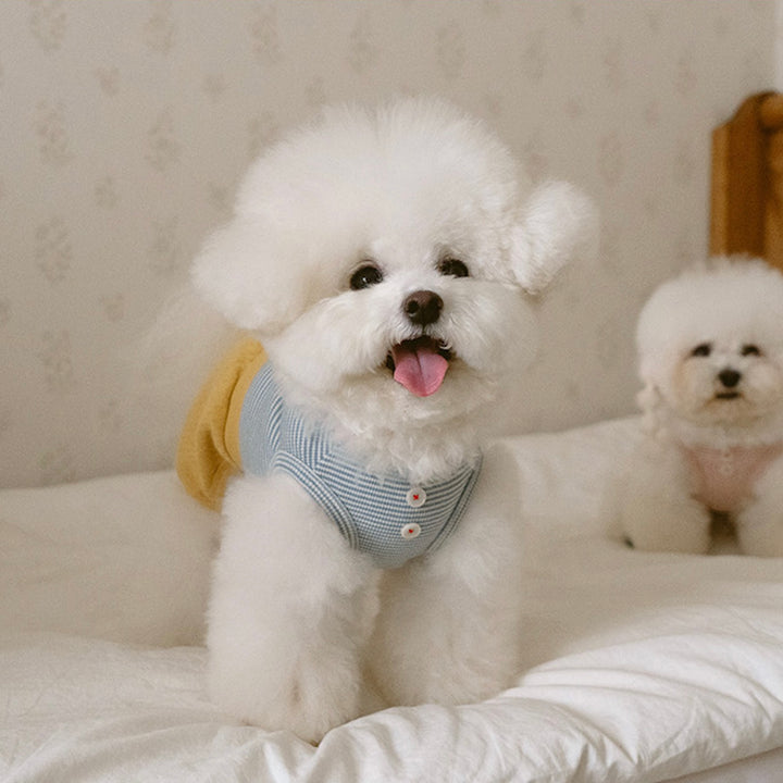 ※予約販売【noutti】Bebe All in one（Yellow）