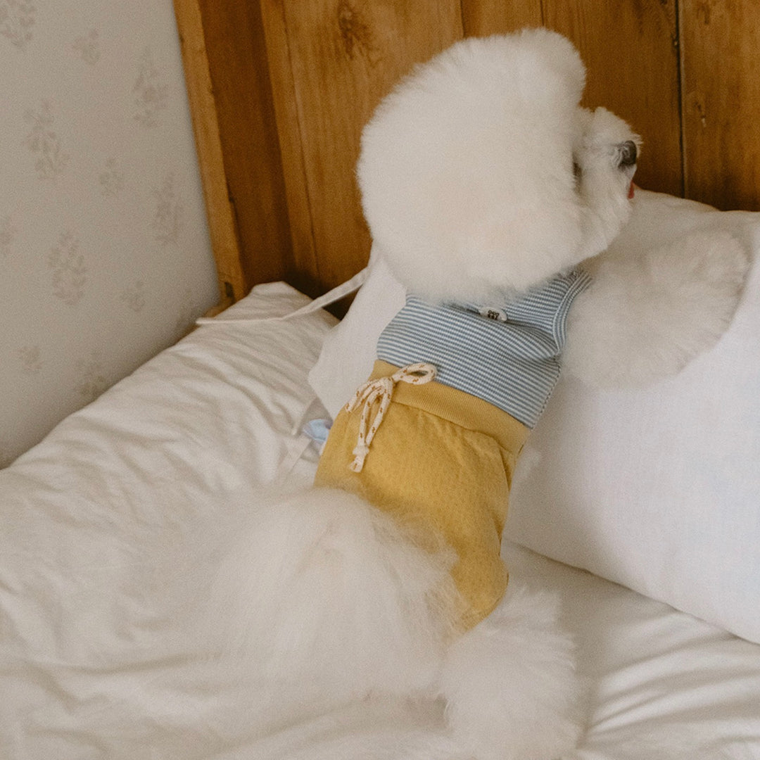 ※予約販売【noutti】Bebe All in one（Yellow）