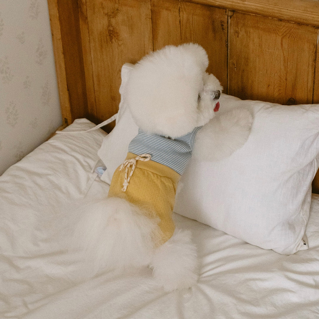 ※予約販売【noutti】Bebe All in one（Yellow）