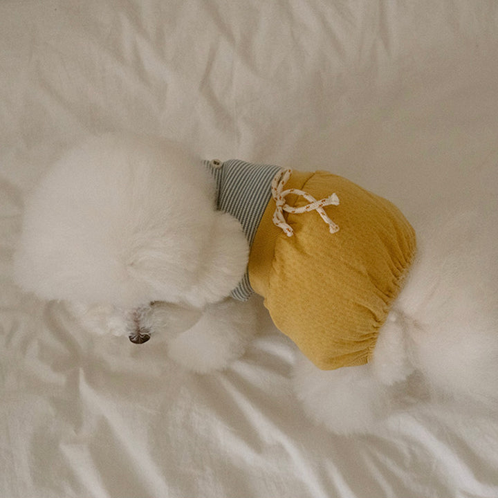 ※予約販売【noutti】Bebe All in one（Yellow）