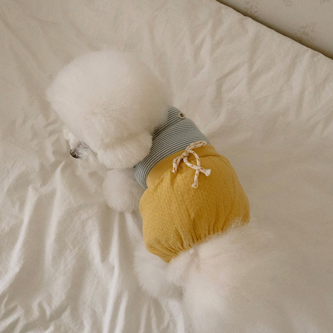 ※予約販売【noutti】Bebe All in one（Yellow）