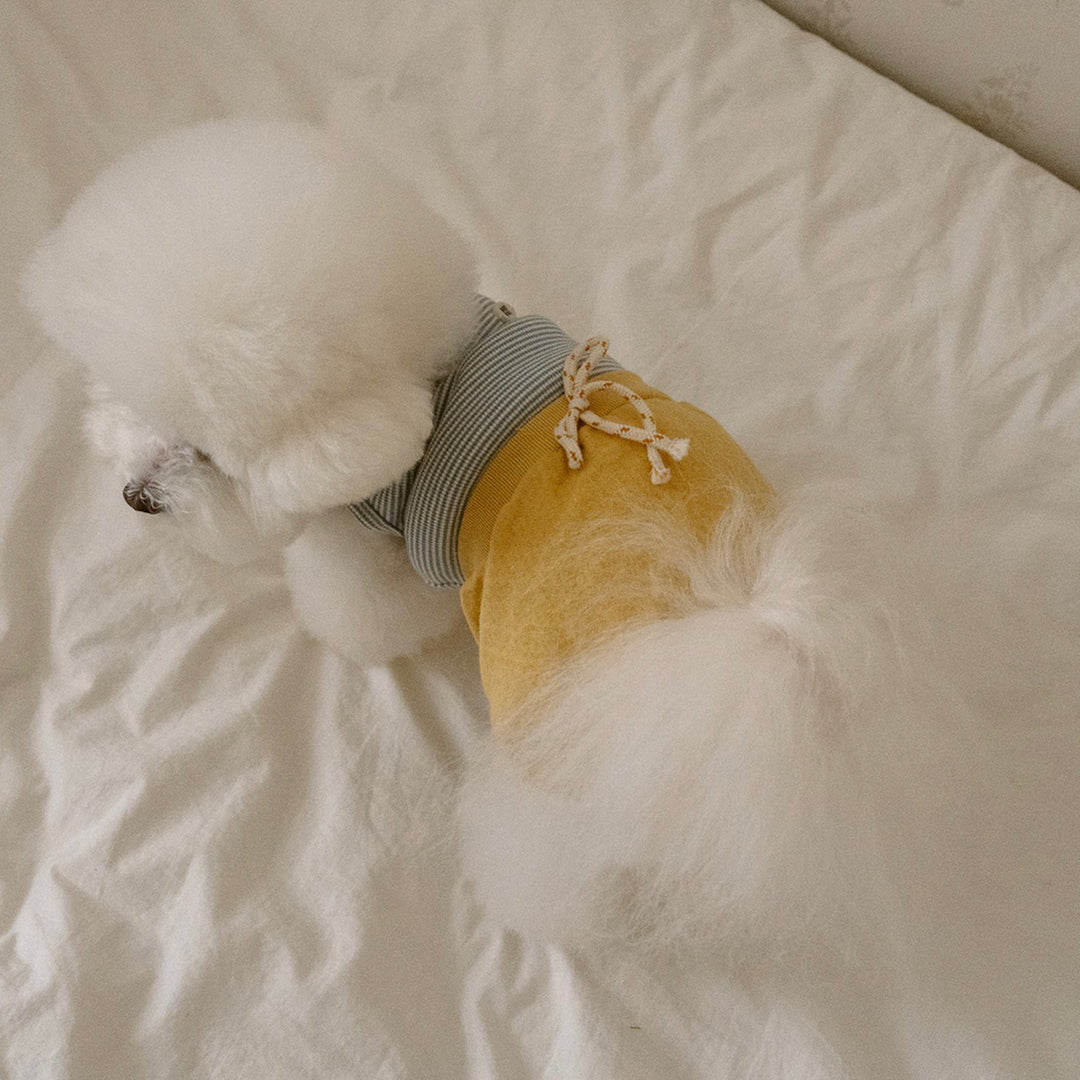 ※予約販売【noutti】Bebe All in one（Yellow）