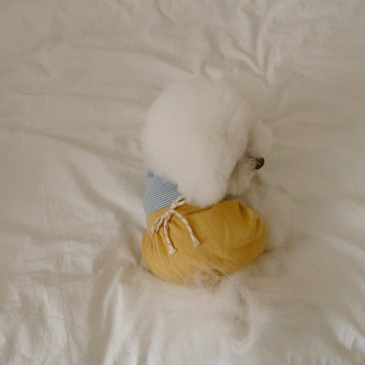 ※予約販売【noutti】Bebe All in one（Yellow）