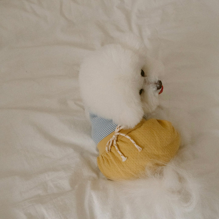 ※予約販売【noutti】Bebe All in one（Yellow）