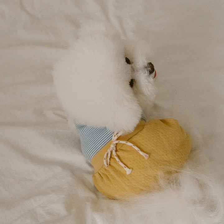 ※予約販売【noutti】Bebe All in one（Yellow）