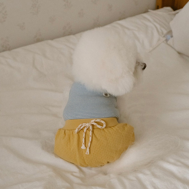 ※予約販売【noutti】Bebe All in one（Yellow）