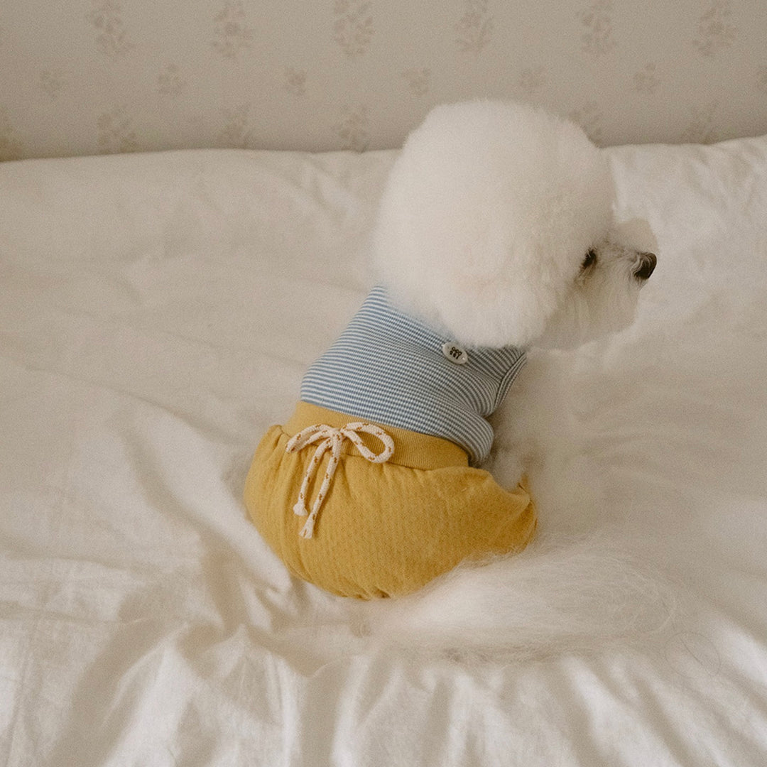 ※予約販売【noutti】Bebe All in one（Yellow）