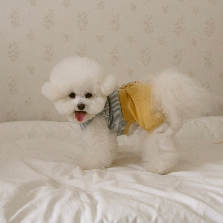 ※予約販売【noutti】Bebe All in one（Yellow）