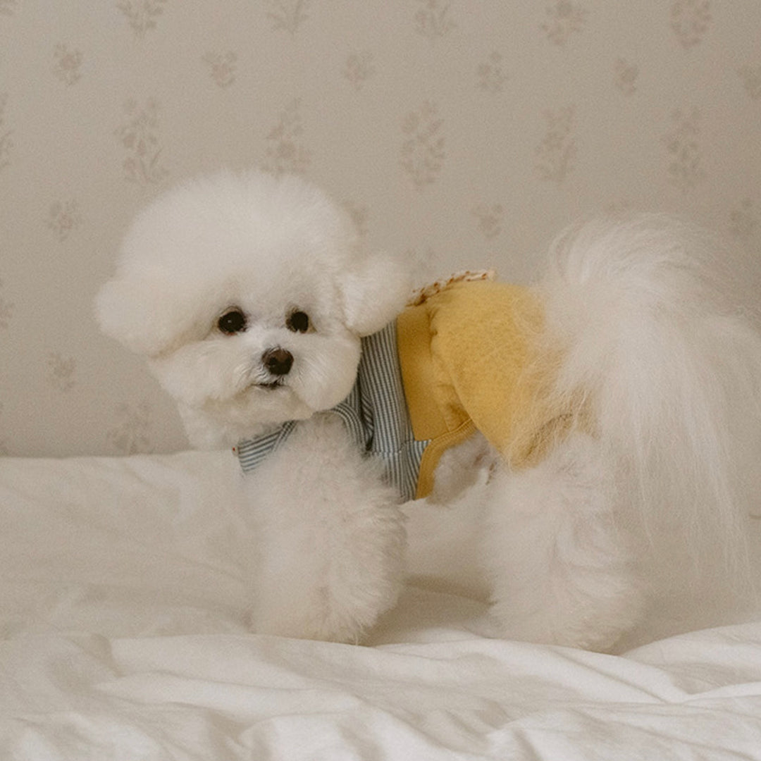 ※予約販売【noutti】Bebe All in one（Yellow）
