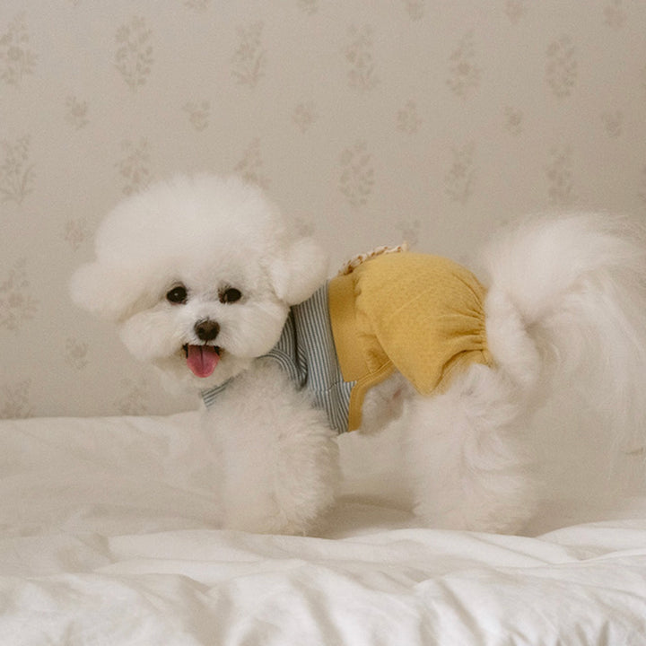 ※予約販売【noutti】Bebe All in one（Yellow）