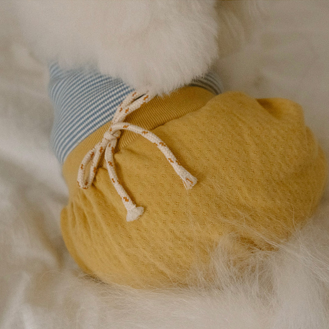 ※予約販売【noutti】Bebe All in one（Yellow）
