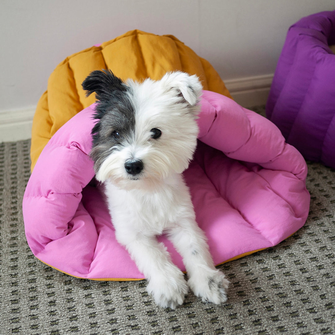 即納【noonoosoom】NOO NOOSOOM × azalea Canele Cushion（Pink/Yellow）