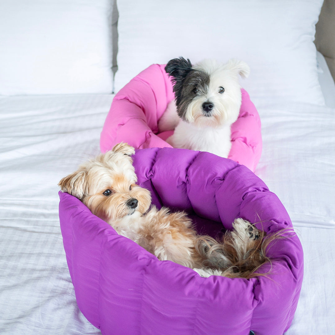 即納【noonoosoom】NOO NOOSOOM × azalea Canele Cushion（Pink/Yellow）
