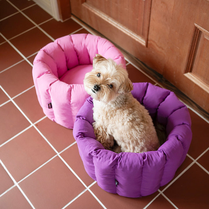 即納【noonoosoom】NOO NOOSOOM × azalea Canele Cushion（Pink/Yellow）