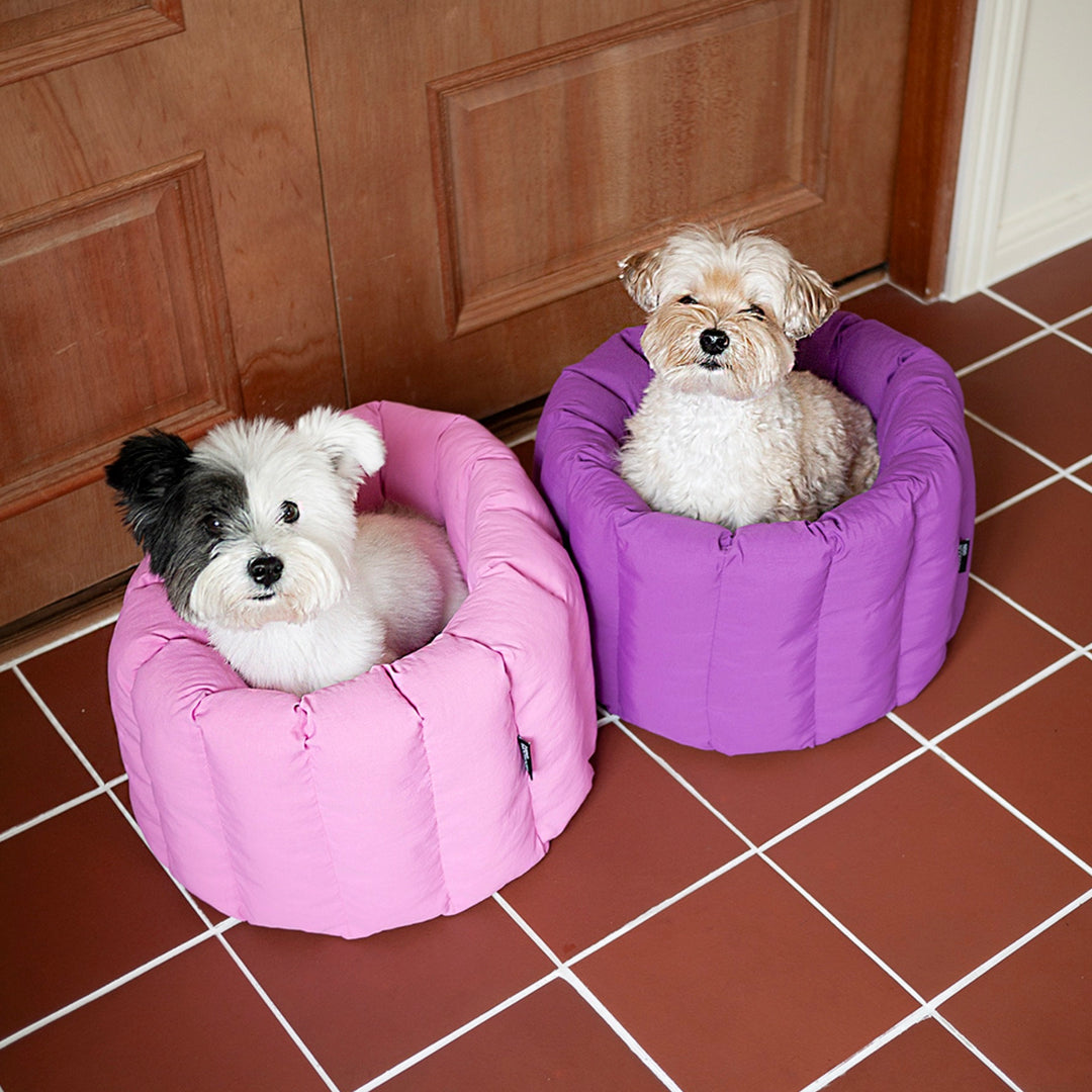 即納【noonoosoom】NOO NOOSOOM × azalea Canele Cushion（Pink/Yellow）