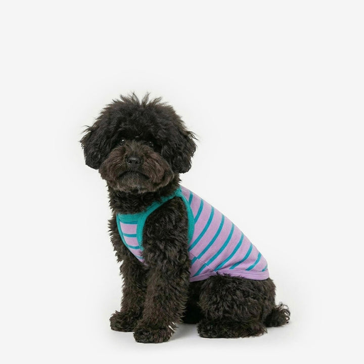 ※予約販売【TUSTUS】Stripe strap top（Violet）
