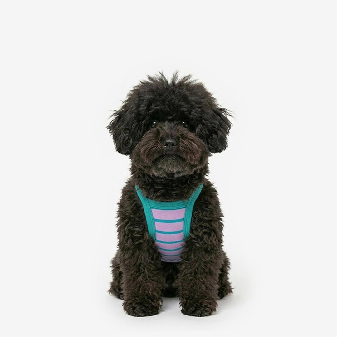 ※予約販売【TUSTUS】Stripe strap top（Violet）