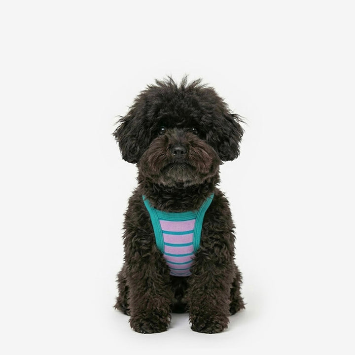 ※予約販売【TUSTUS】Stripe strap top（Violet）