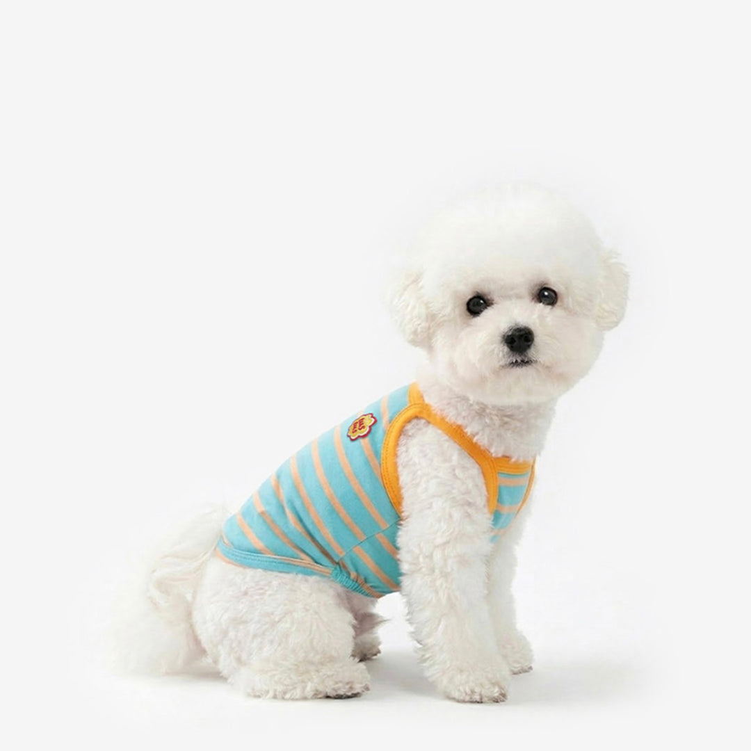 ※予約販売【TUSTUS】Stripe strap top（Blue）