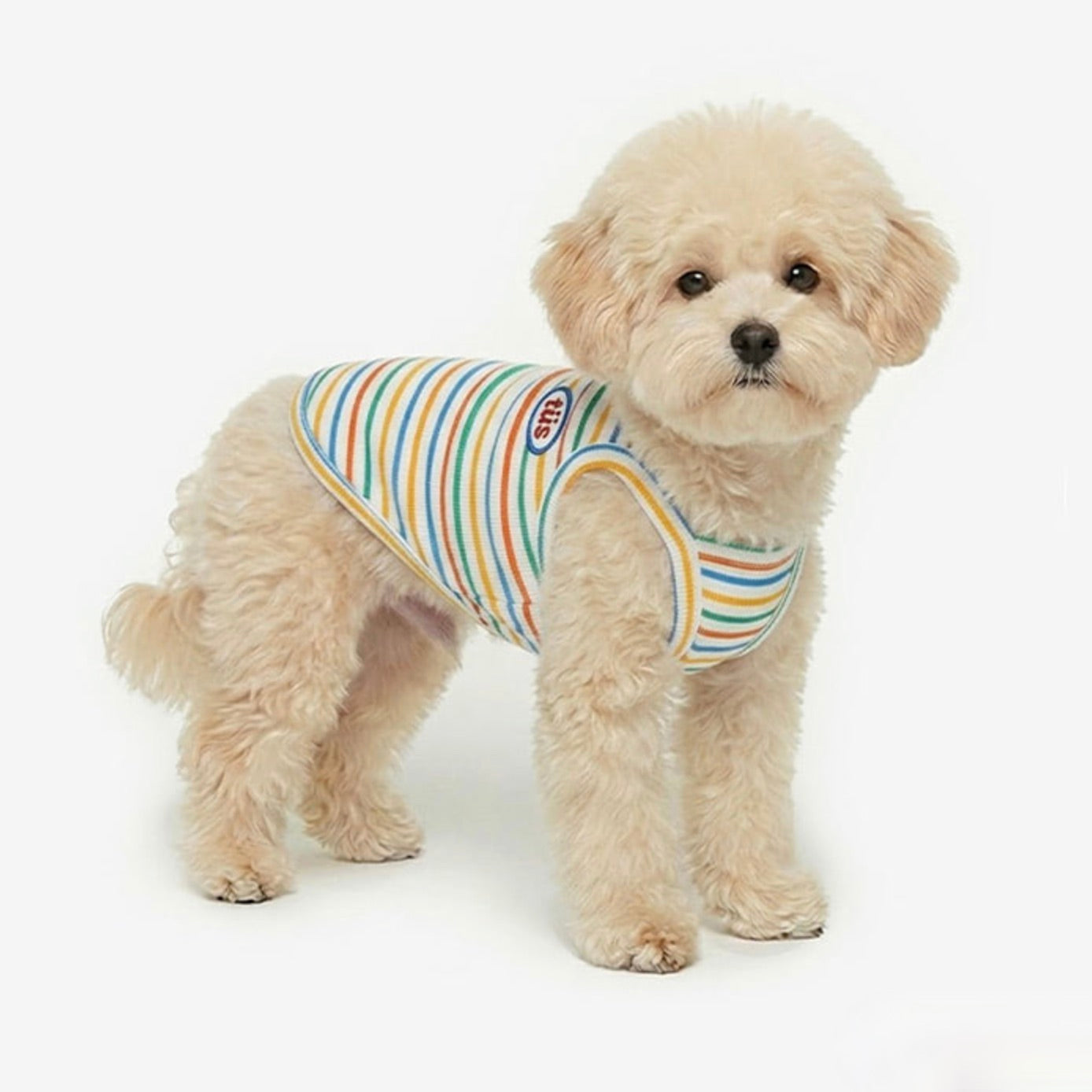 再入荷アイテム – URBAN DOG TOKYO
