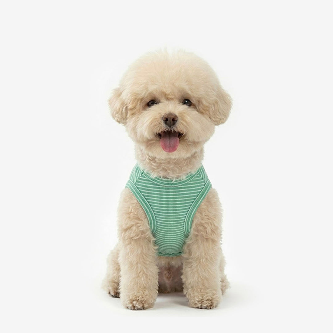 即納【TUSTUS】Basic Sleeve（Green）