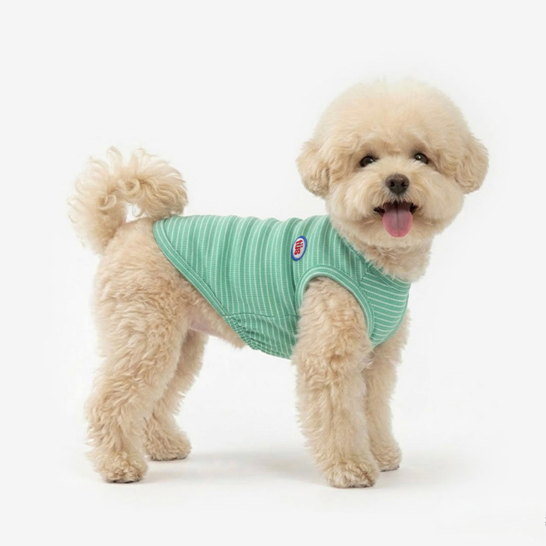 即納【TUSTUS】Basic Sleeve（Green）
