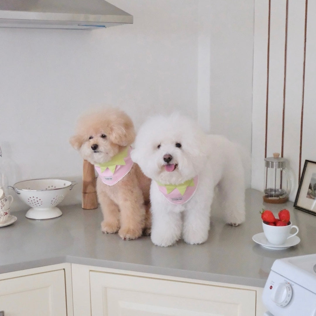 即納【FREDDIE TALE】Berry Berry Bandana（Pink）