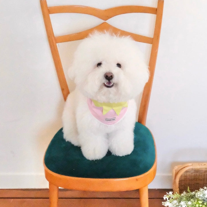 即納【FREDDIE TALE】Berry Berry Bandana（Pink）