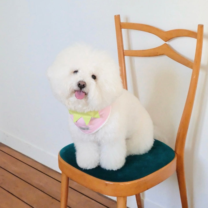 即納【FREDDIE TALE】Berry Berry Bandana（Pink）