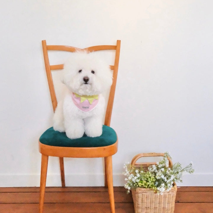 即納【FREDDIE TALE】Berry Berry Bandana（Pink）