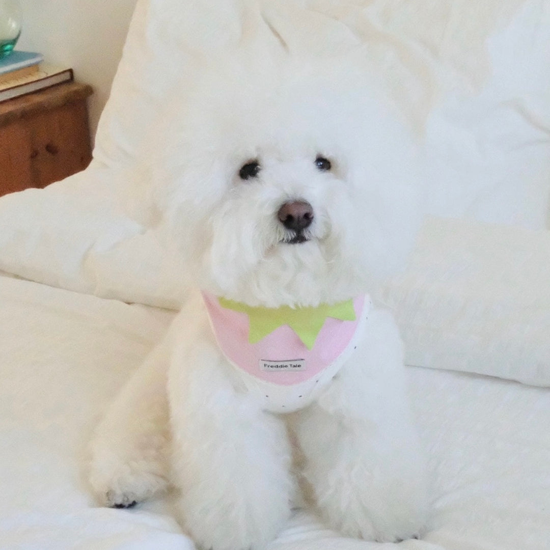 即納【FREDDIE TALE】Berry Berry Bandana（Pink）