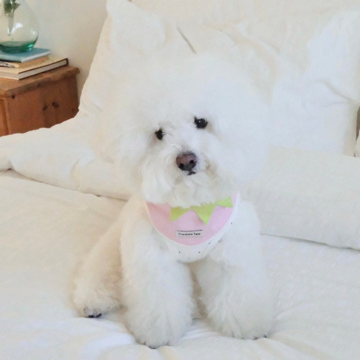即納【FREDDIE TALE】Berry Berry Bandana（Pink）