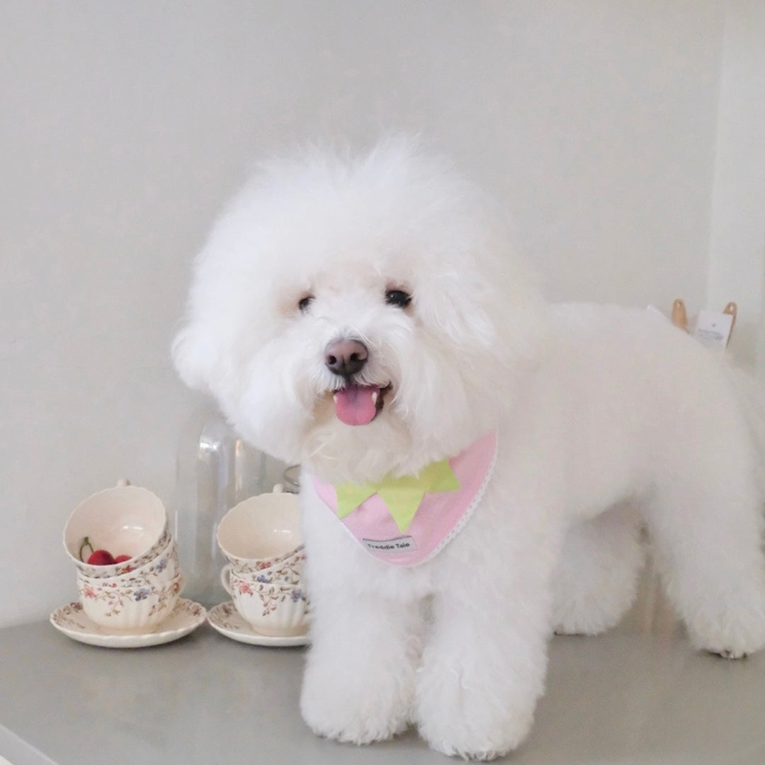 即納【FREDDIE TALE】Berry Berry Bandana（Pink）