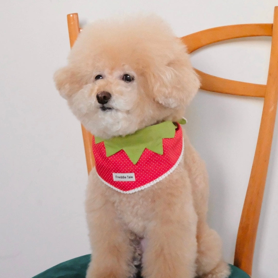 即納【FREDDIE TALE】Berry Berry Bandana（Red）