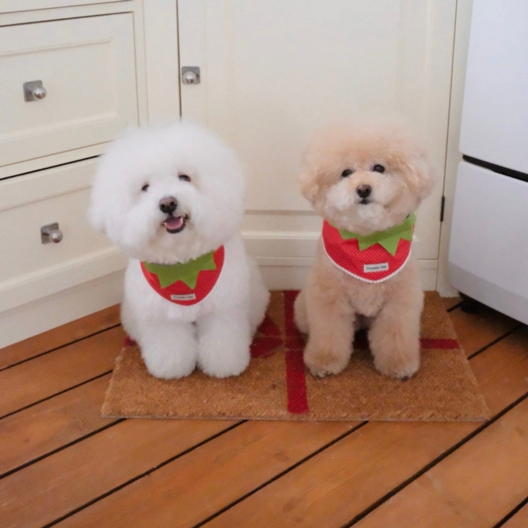 即納【FREDDIE TALE】Berry Berry Bandana（Red）