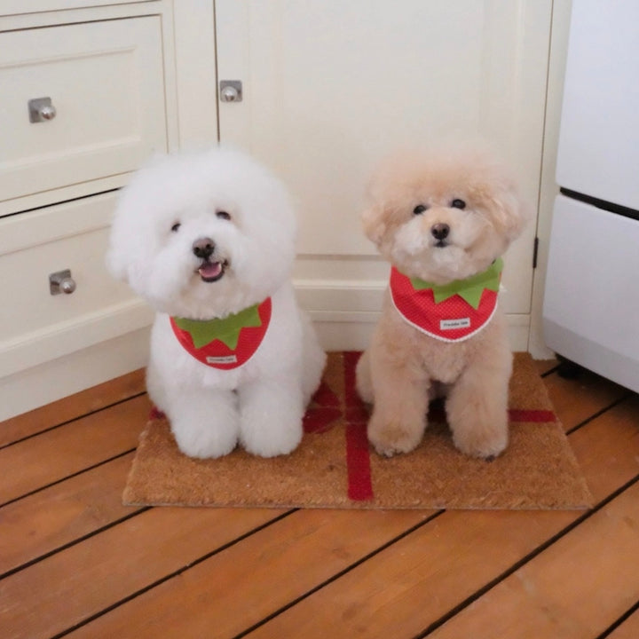 即納【FREDDIE TALE】Berry Berry Bandana（Red）