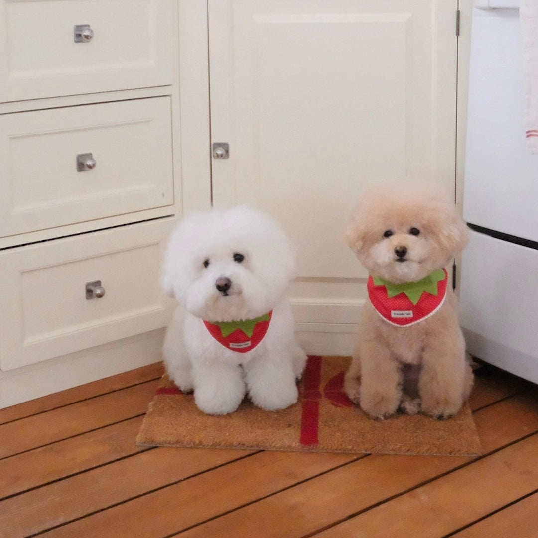 即納【FREDDIE TALE】Berry Berry Bandana（Red）