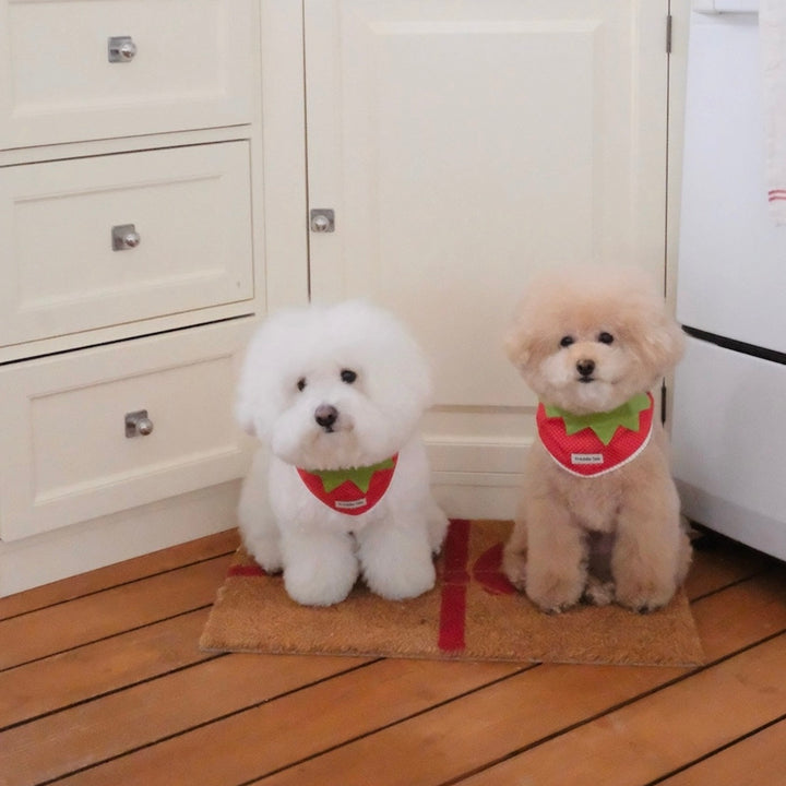 即納【FREDDIE TALE】Berry Berry Bandana（Red）
