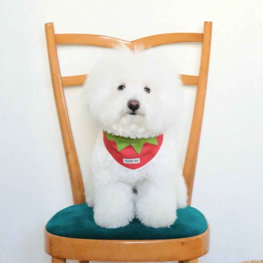 即納【FREDDIE TALE】Berry Berry Bandana（Red）