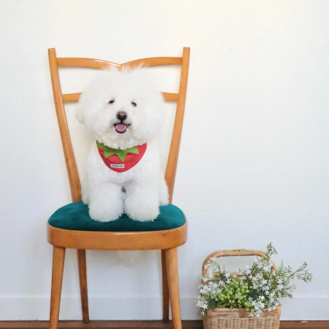 即納【FREDDIE TALE】Berry Berry Bandana（Red）