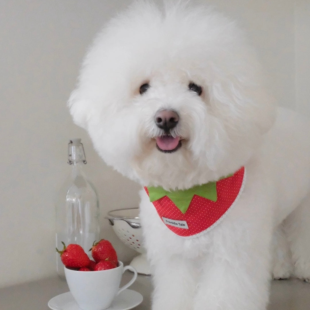 即納【FREDDIE TALE】Berry Berry Bandana（Red）