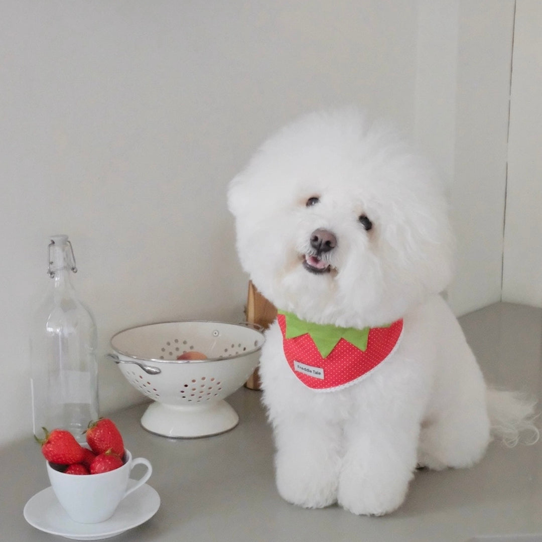 即納【FREDDIE TALE】Berry Berry Bandana（Red）