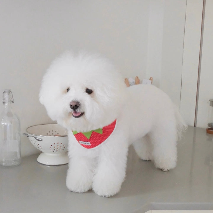即納【FREDDIE TALE】Berry Berry Bandana（Red）