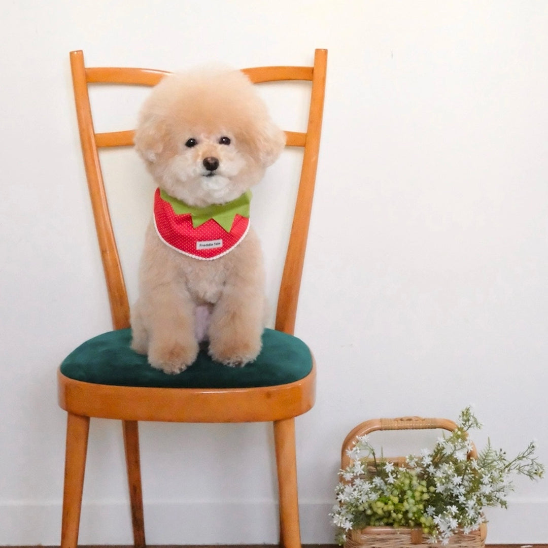 即納【FREDDIE TALE】Berry Berry Bandana（Red）